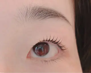 マツエク・マツパ Holly  Bio KIKOの眉毛・アイブロウイメージ