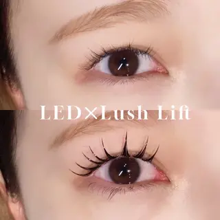 マツエク・マツパ EYELA熊本店 YUZUのマツエク・マツパデザイン