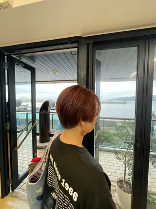 ショート カラー 菅原 彩加のヘアスタイル