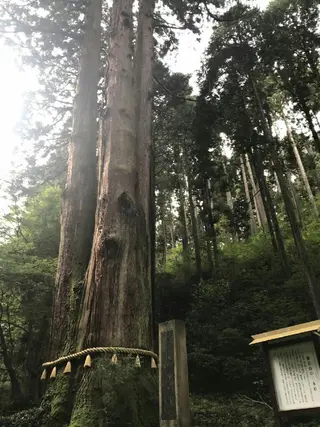 g*rossa高橋 くみこのエステ・リラクイメージ