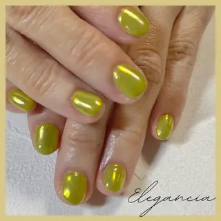 カラー ネイル Elegancia. Hiromiのネイルデザイン