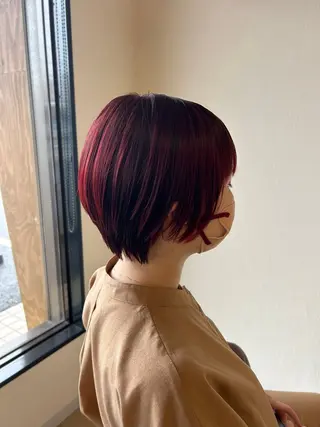 ショート 本郷 豊のヘアスタイル