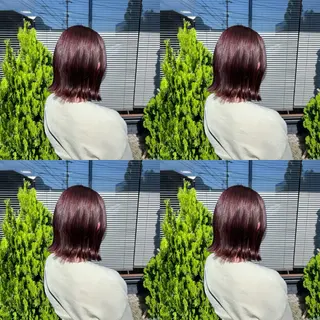 ミディアム 河口 友里のヘアスタイル