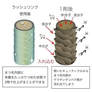 マツエク・マツパ Fave【フェイブ】 まつパ/眉毛/メンズの眉毛・アイブロウイメージ