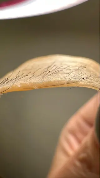 肌管理／眉毛．まつ毛 陽子の眉毛・アイブロウイメージ