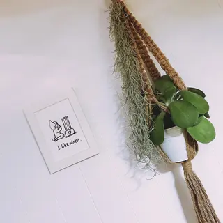 マツエク・マツパ なかむら 🪡のマツエク・マツパデザイン