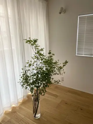 マツエク・マツパ 繪蒔/柿の木坂 にあるまつ毛サロンのマツエク・マツパデザイン