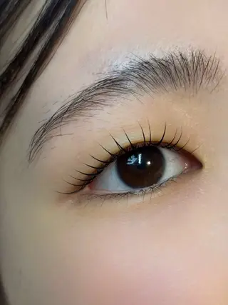 マツエク・マツパ op_l メイの眉毛・アイブロウイメージ