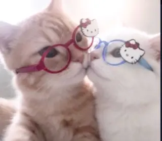 マツエク・マツパ 🎀eyelist. mizuki🐈‍⬛のマツエク・マツパデザイン