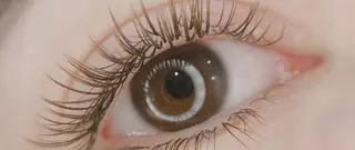 マツエク・マツパ Livnus リブナスのマツエク・マツパデザイン