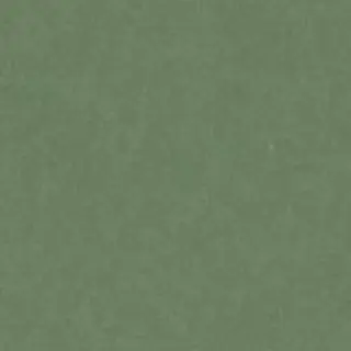 カラー 石川 菜摘のヘアスタイル