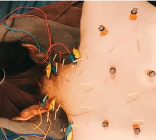 美容鍼灸サロン mahoroba院長のエステ・リラクイメージ