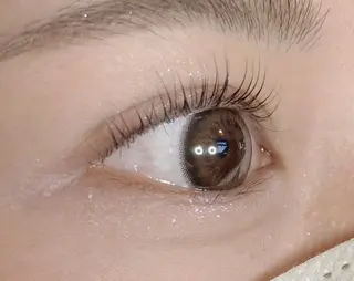 マツエク・マツパ Noel 新宿南口 Yumiのマツエク・マツパデザイン