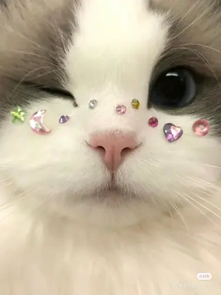 ネイル つめノ さきのネイルデザイン