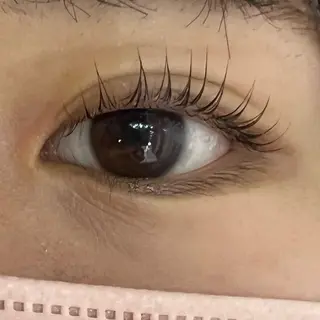 マツエク・マツパ 🧸Celeste Venusのマツエク・マツパデザイン