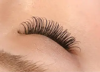 マツエク・マツパ MIRANDA beautyのマツエク・マツパデザイン