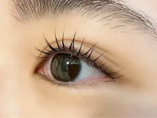 マツエク・マツパ ANCIL 🎡今野🎡のマツエク・マツパデザイン