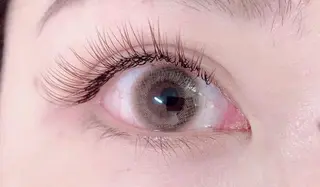 マツエク・マツパ Anela 🦋HARUMIの眉毛・アイブロウイメージ