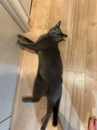 ショート アニメ,Vオタク× 即効痩せエステサロンのエステ・リラクイメージ