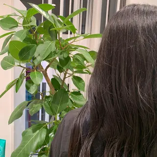 ロング カラー ヘアアレンジ 小白井 由美のヘアスタイル