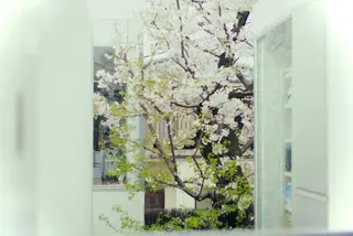 flow lab 耳ツボ温活サロンのエステ・リラクイメージ