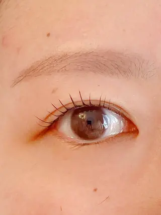 マツエク・マツパ merfie メルフィーのマツエク・マツパデザイン