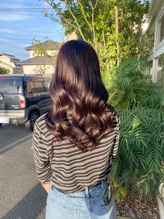 セミロング 大橋 聖哉のヘアスタイル