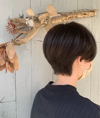 ショート カラー 小澤 真理子 ☀️アメリシュシュのヘアスタイル