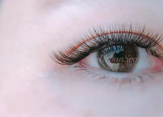 マツエク・マツパ Urbansea Eyelash赤羽の眉毛・アイブロウイメージ