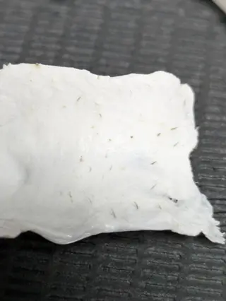  SOLEIL 小玉の眉毛・アイブロウイメージ