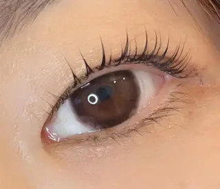 マツエク・マツパ 《eyelash ｉｉｔｅ》森のマツエク・マツパデザイン