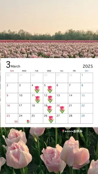 マツエク・マツパ Crevia Chieのマツエク・マツパデザイン