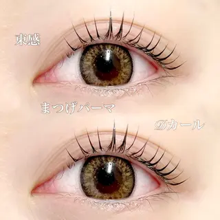 マツエク・マツパ 🖤束感まつ毛 Rina🖤のマツエク・マツパデザイン