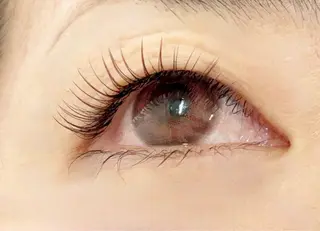 マツエク・マツパ DOLL -eyelash-のマツエク・マツパデザイン