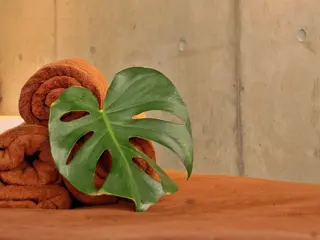 Solmare 中目黒 mutoのネイルデザイン