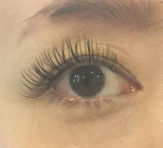 マツエク・マツパ Camel 🐫のマツエク・マツパデザイン