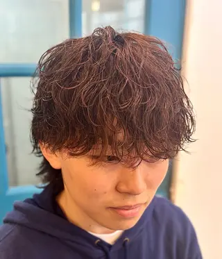 パーマ メンズ ショート、韓国メンズ ヘアのかつらぎのヘアスタイル