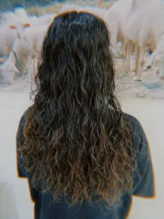 ロング パーマ ﾕｳﾅ/ ショート・ボブ🐰のヘアスタイル