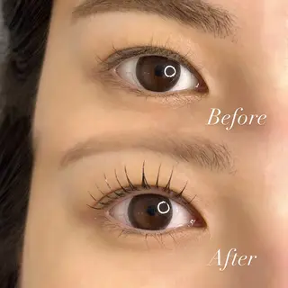 マツエク・マツパ Ann  Moss 日本橋のマツエク・マツパデザイン