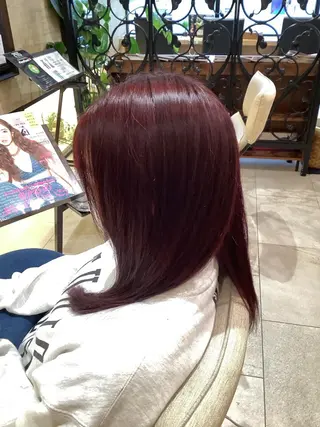 セミロング 🫧髪質改善特化🫧 🍒青山佳代🍒のヘアスタイル