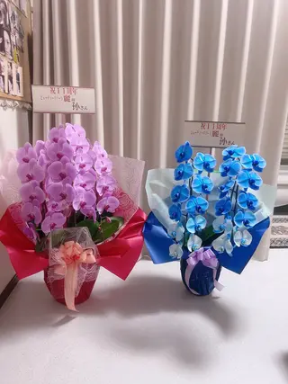 于 麗影のエステ・リラクイメージ