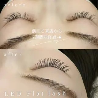 ใใใจใฏใปใใใ ๐ ๐๐๐๐ ๐๐๐๐.ใฎใใใจใฏใปใใใใใถใคใณ