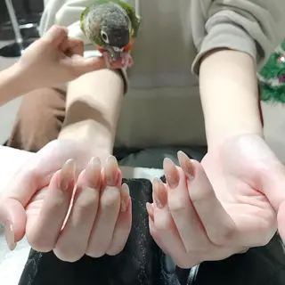 ネイル CHERIMO シェリモのネイルデザイン