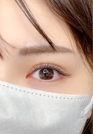 マツエク・マツパ 無料モデル募集中 Ann Mossのマツエク・マツパデザイン