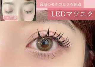 マツエク・マツパ I.NAILS布施店 岩川🕊️LEDのマツエク・マツパデザイン