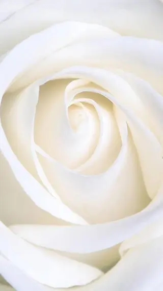 E LINDAのネイルデザイン
