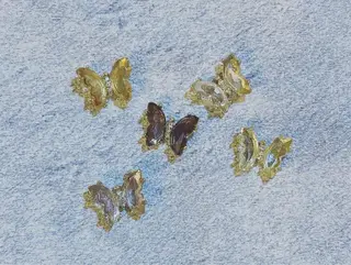 ネイル mermooi所属・melumooi nailのネイルデザイン