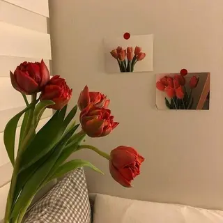 brow.nail Maruyamaの眉毛・アイブロウイメージ