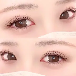 マツエク・マツパ eyelash "Koa"🕊🤎のマツエク・マツパデザイン