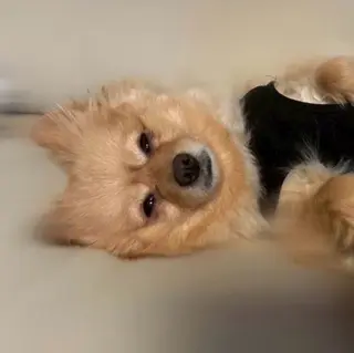 松本｜似合わせ眉 ×まつげパーマ×ヘアの眉毛・アイブロウイメージ